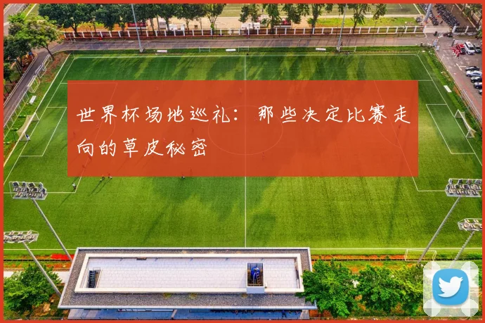 世界杯场地巡礼:那些决定比赛走向的草皮秘密