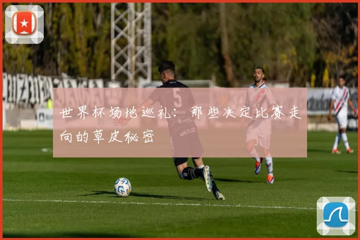 世界杯场地巡礼:那些决定比赛走向的草皮秘密