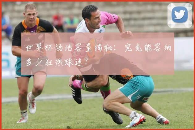 世界杯场地容量揭秘:究竟能容纳多少狂热球迷?