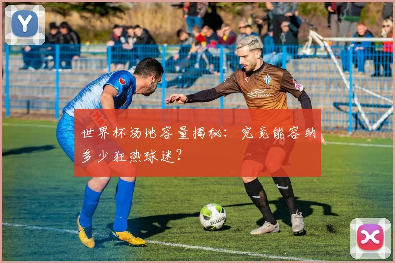 世界杯场地容量揭秘:究竟能容纳多少狂热球迷?