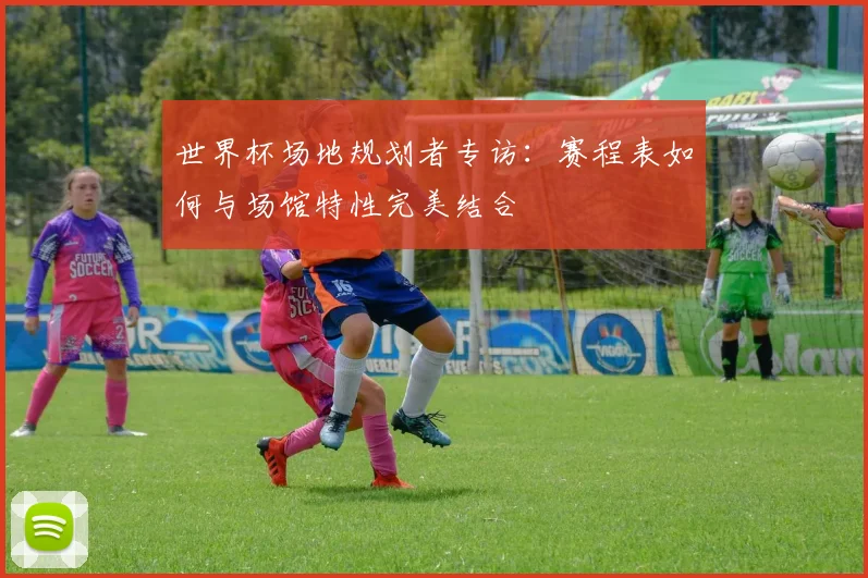 世界杯场地规划者专访：赛程表如何与场馆特性完美结合
